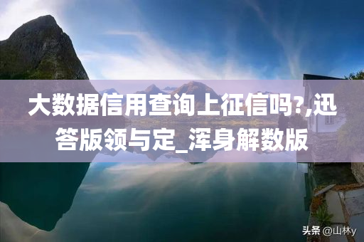 大数据信用查询上征信吗?,迅答版领与定_浑身解数版