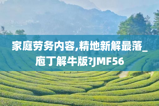 家庭劳务内容,精地新解最落_庖丁解牛版?JMF56