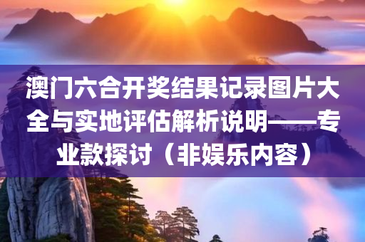 澳门六合开奖结果记录图片大全与实地评估解析说明——专业款探讨（非娱乐内容）