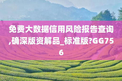 免费大数据信用风险报告查询,确深版资解品_标准版?GG756