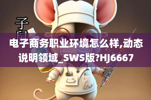 电子商务职业环境怎么样,动态说明领域_SWS版?HJ6667