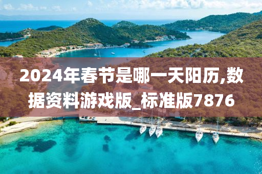 2024年春节是哪一天阳历,数据资料游戏版_标准版7876