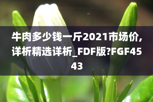 牛肉多少钱一斤2021市场价,详析精选详析_FDF版?FGF4543