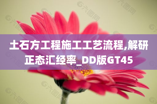 土石方工程施工工艺流程,解研正态汇经率_DD版GT45