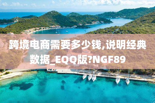 跨境电商需要多少钱,说明经典数据_EQQ版?NGF89