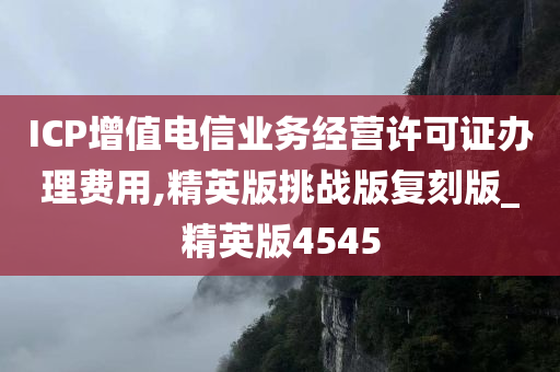 ICP增值电信业务经营许可证办理费用,精英版挑战版复刻版_精英版4545