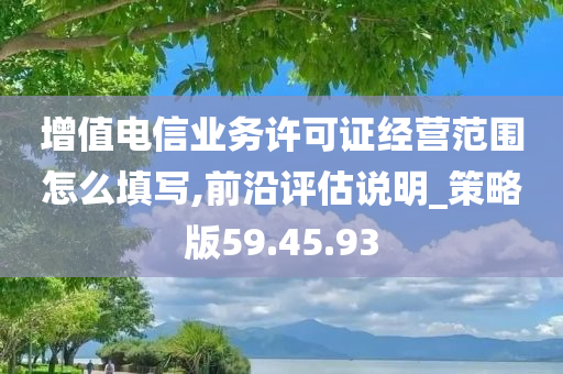 增值电信业务许可证经营范围怎么填写,前沿评估说明_策略版59.45.93