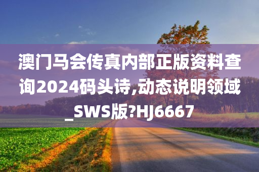 澳门马会传真内部正版资料查询2024码头诗,动态说明领域_SWS版?HJ6667