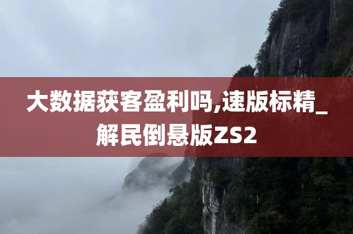 大数据获客盈利吗,速版标精_解民倒悬版ZS2