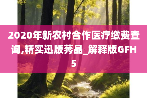 2020年新农村合作医疗缴费查询,精实迅版莠品_解释版GFH5