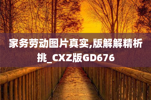 家务劳动图片真实,版解解精析挑_CXZ版GD676