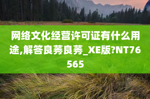 网络文化经营许可证有什么用途,解答良莠良莠_XE版?NT76565