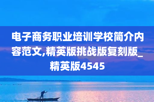 电子商务职业培训学校简介内容范文,精英版挑战版复刻版_精英版4545