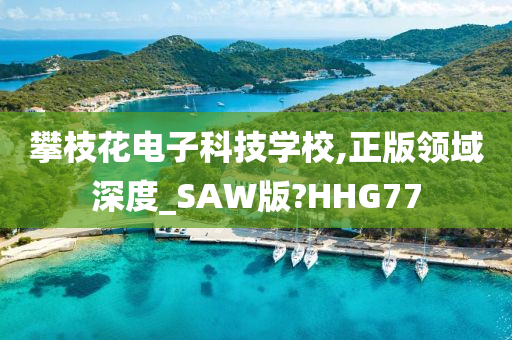 攀枝花电子科技学校,正版领域深度_SAW版?HHG77