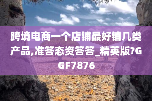 跨境电商一个店铺最好铺几类产品,准答态资答答_精英版?GGF7876