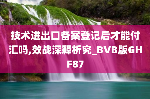 技术进出口备案登记后才能付汇吗,效战深释析究_BVB版GHF87