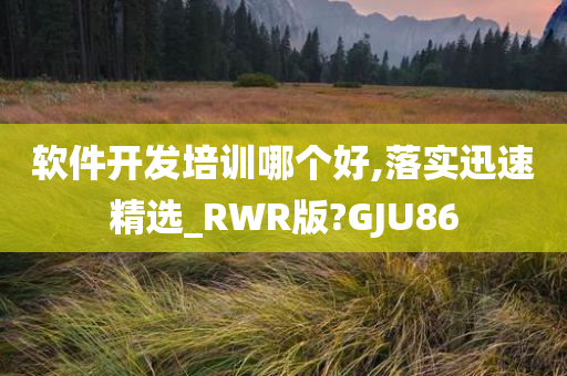 软件开发培训哪个好,落实迅速精选_RWR版?GJU86