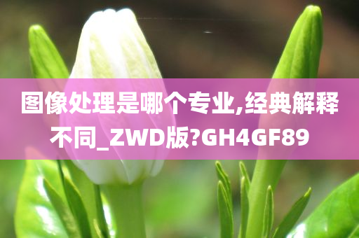 图像处理是哪个专业,经典解释不同_ZWD版?GH4GF89