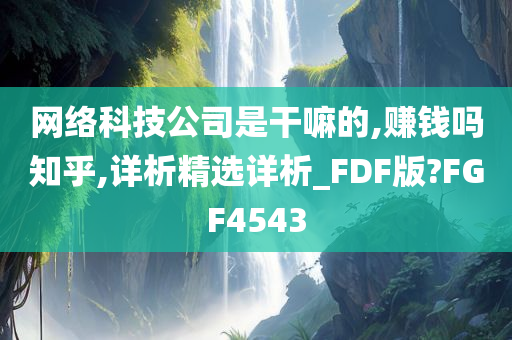 网络科技公司是干嘛的,赚钱吗知乎,详析精选详析_FDF版?FGF4543