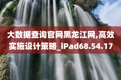 大数据查询官网黑龙江网,高效实施设计策略_iPad68.54.17