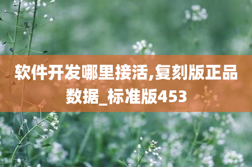 软件开发哪里接活,复刻版正品数据_标准版453