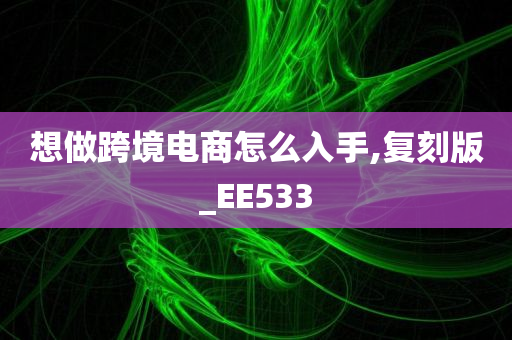 想做跨境电商怎么入手,复刻版_EE533