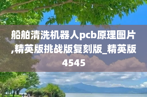 船舶清洗机器人pcb原理图片,精英版挑战版复刻版_精英版4545