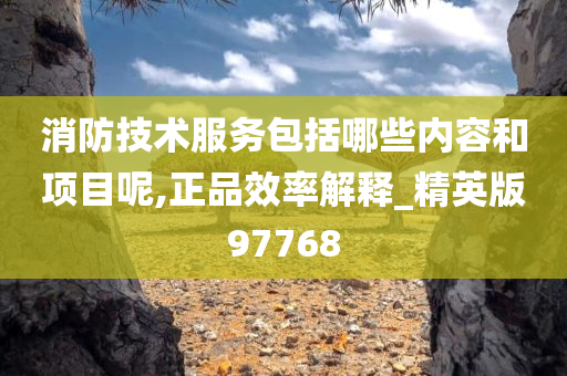 消防技术服务包括哪些内容和项目呢,正品效率解释_精英版97768