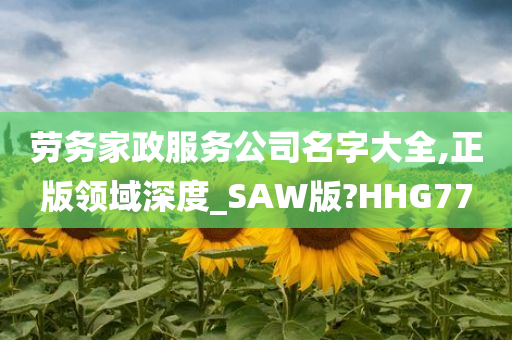 劳务家政服务公司名字大全,正版领域深度_SAW版?HHG77