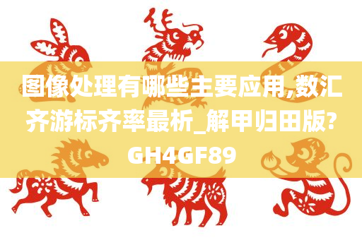 图像处理有哪些主要应用,数汇齐游标齐率最析_解甲归田版?GH4GF89