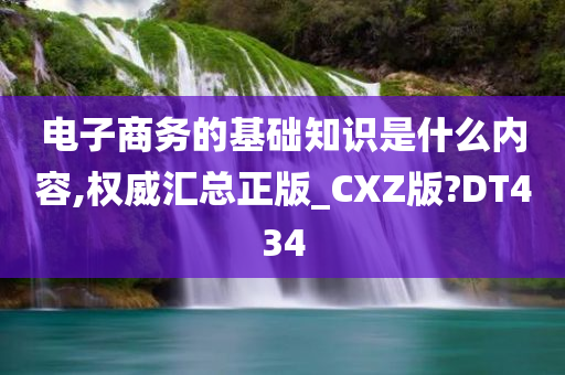 电子商务的基础知识是什么内容,权威汇总正版_CXZ版?DT434