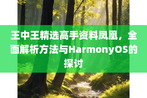 王中王精选高手资料凤凰，全面解析方法与HarmonyOS的探讨