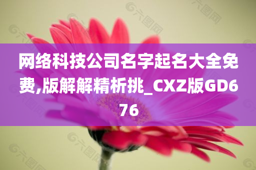 网络科技公司名字起名大全免费,版解解精析挑_CXZ版GD676