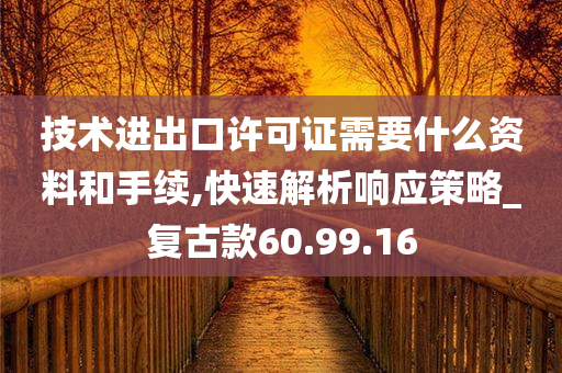 技术进出口许可证需要什么资料和手续,快速解析响应策略_复古款60.99.16