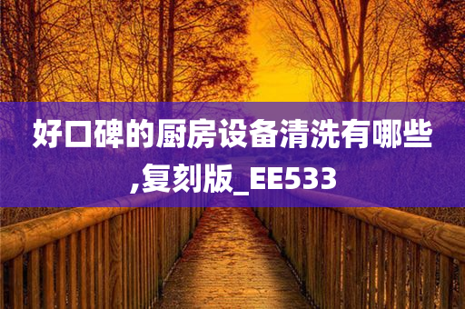 好口碑的厨房设备清洗有哪些,复刻版_EE533