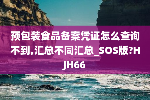 预包装食品备案凭证怎么查询不到,汇总不同汇总_SOS版?HJH66