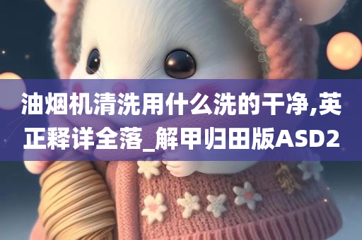 油烟机清洗用什么洗的干净,英正释详全落_解甲归田版ASD2