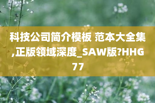 科技公司简介模板 范本大全集,正版领域深度_SAW版?HHG77