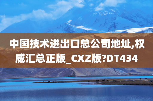 中国技术进出口总公司地址,权威汇总正版_CXZ版?DT434