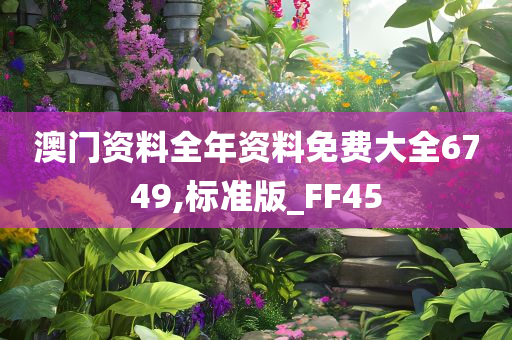 澳门资料全年资料免费大全6749,标准版_FF45