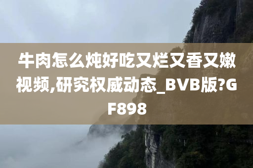 牛肉怎么炖好吃又烂又香又嫩视频,研究权威动态_BVB版?GF898