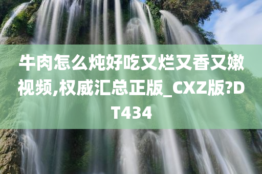 牛肉怎么炖好吃又烂又香又嫩视频,权威汇总正版_CXZ版?DT434