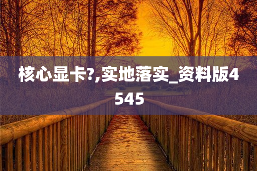 核心显卡?,实地落实_资料版4545