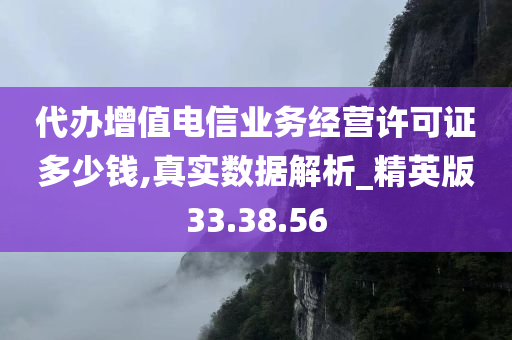 代办增值电信业务经营许可证多少钱,真实数据解析_精英版33.38.56