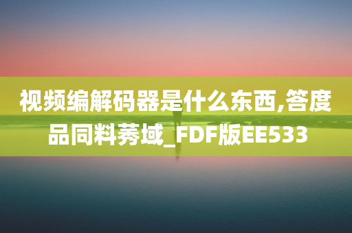 视频编解码器是什么东西,答度品同料莠域_FDF版EE533