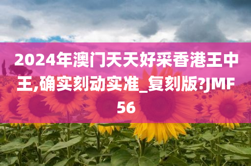 2024年澳门天天好采香港王中王,确实刻动实准_复刻版?JMF56