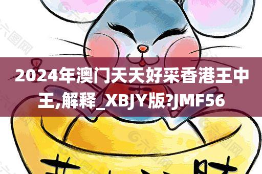 2024年澳门天天好采香港王中王,解释_XBJY版?JMF56