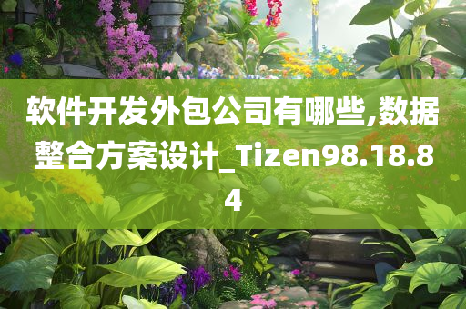 软件开发外包公司有哪些,数据整合方案设计_Tizen98.18.84