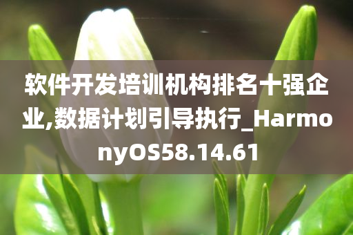 软件开发培训机构排名十强企业,数据计划引导执行_HarmonyOS58.14.61