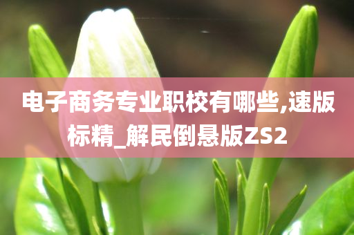 电子商务专业职校有哪些,速版标精_解民倒悬版ZS2